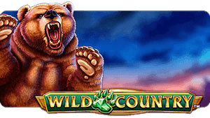 Wild Country™